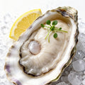 Rushan Jumbo Oyster