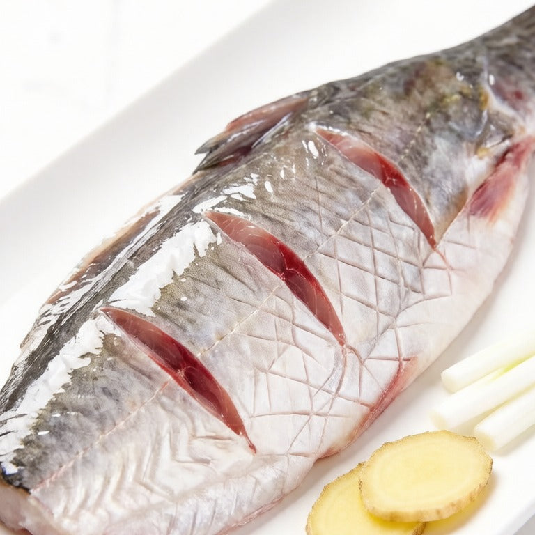 Scored Snakehead Fish Fillet